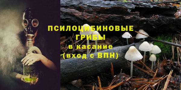 эйфоретик Арсеньев