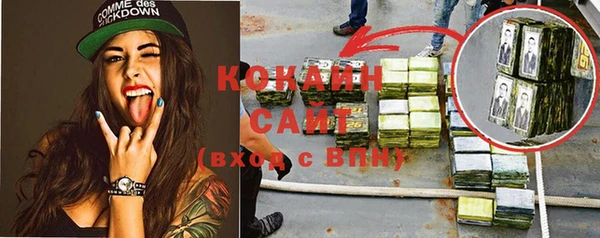 эйфоретик Алзамай