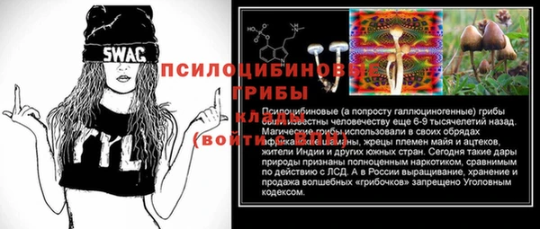 винт Алексеевка