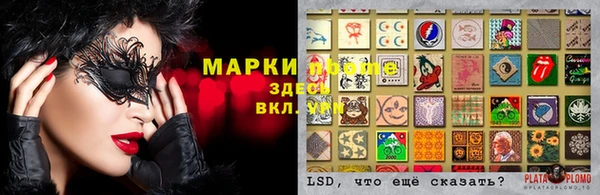 стафф Аркадак