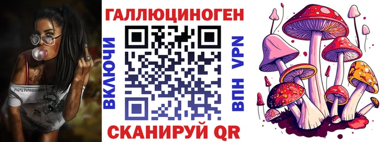 Псилоцибиновые грибы Psilocybe  МЕГА вход  Байкальск  сайты даркнета формула  продажа наркотиков 